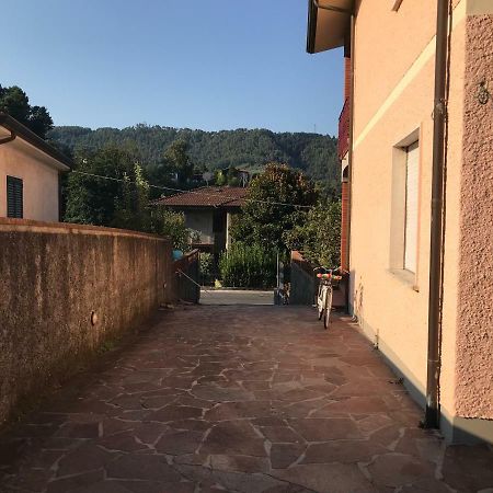 Villa Ester Camaiore Extérieur photo