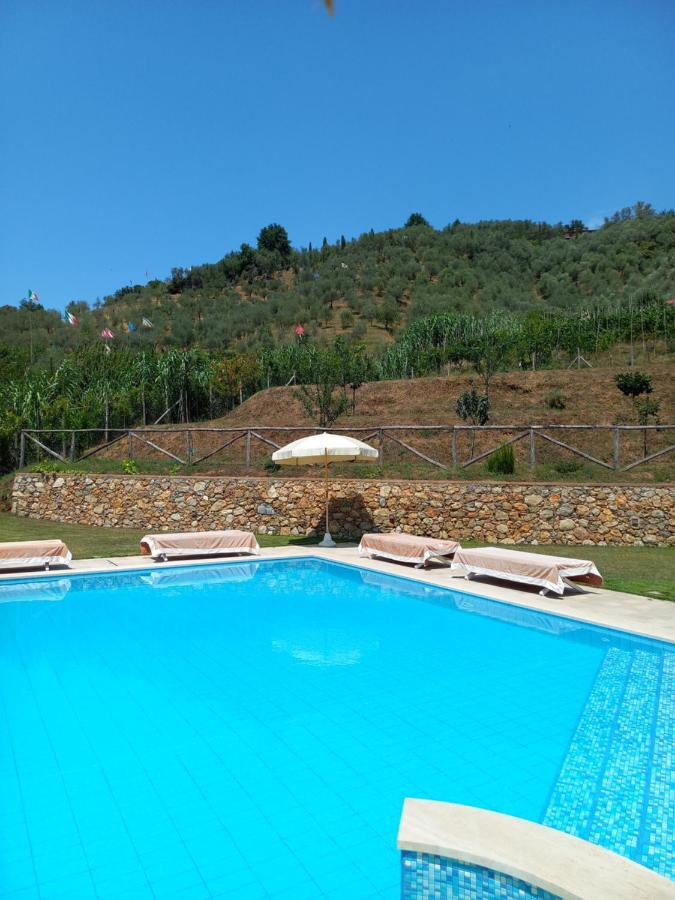 Villa Ester Camaiore Extérieur photo