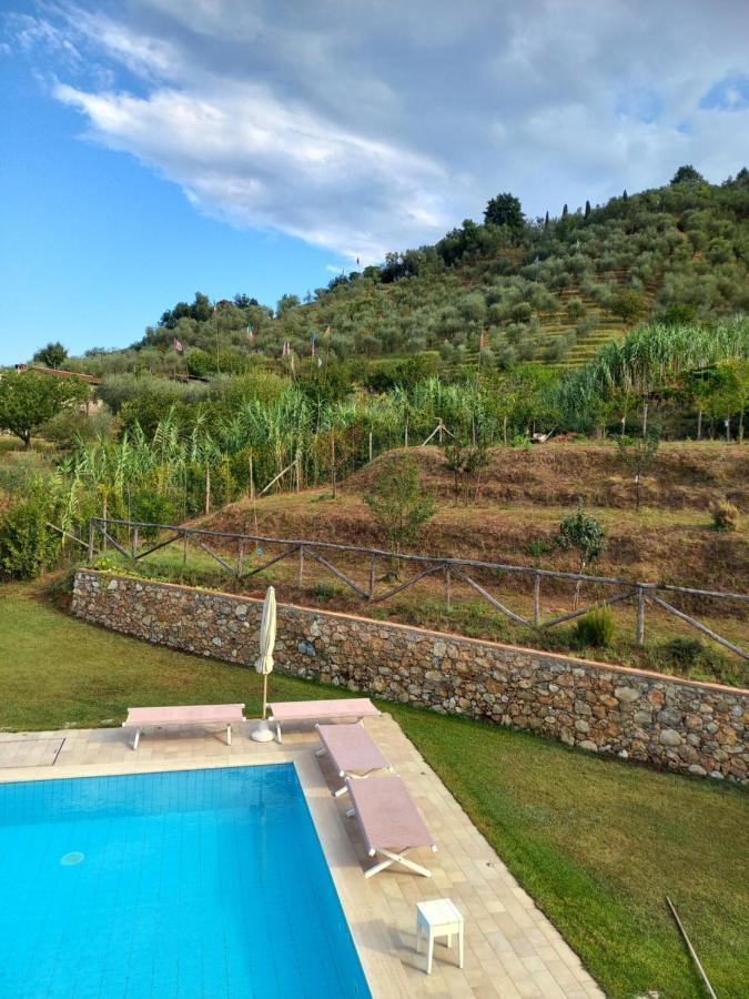 Villa Ester Camaiore Extérieur photo