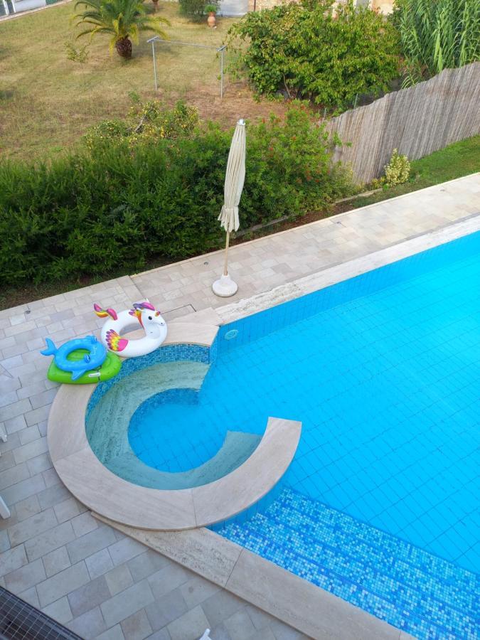 Villa Ester Camaiore Extérieur photo