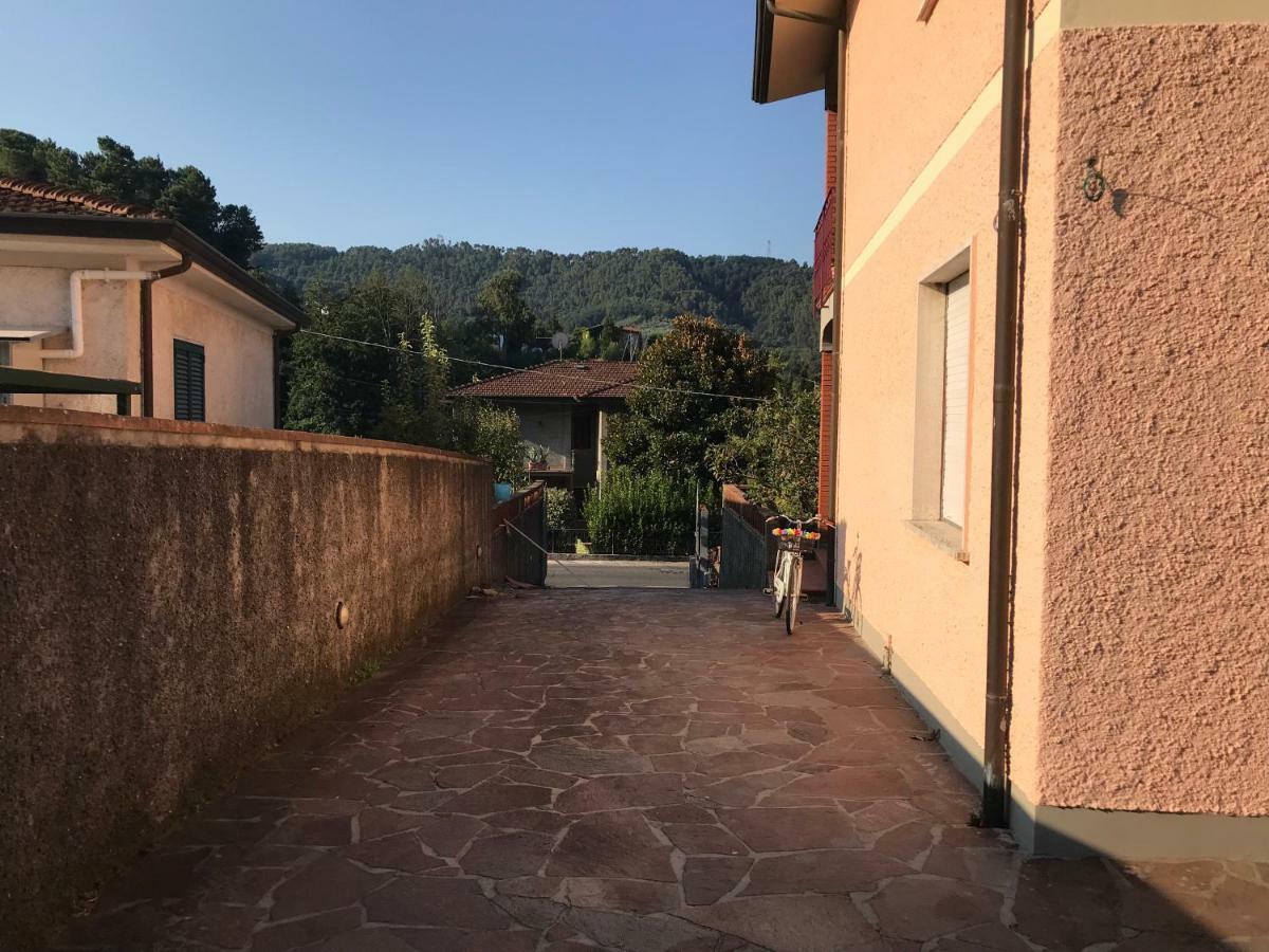 Villa Ester Camaiore Extérieur photo